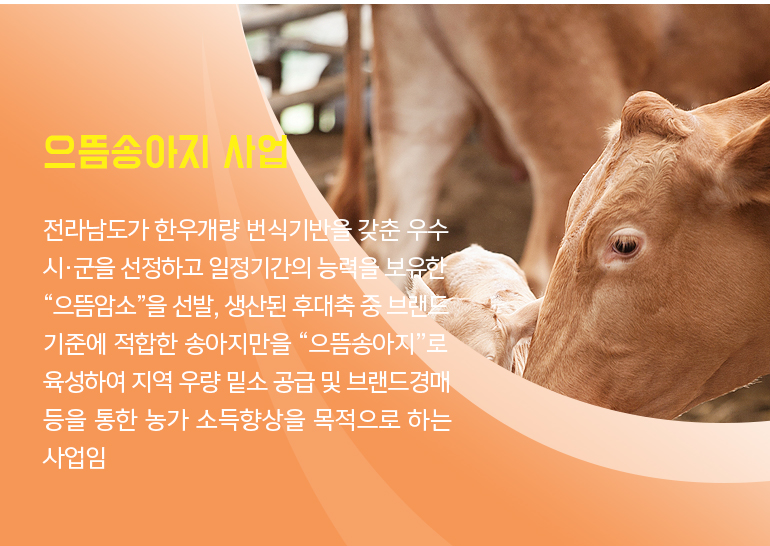 으뜸한우브랜드